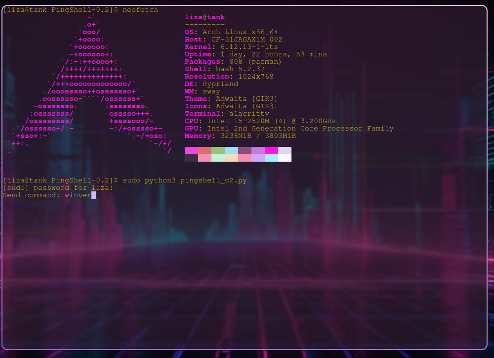 winver command sent from c2